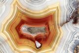 Polished Banded Laguna Agate with Wegeler Effect - Mexico #193181-1